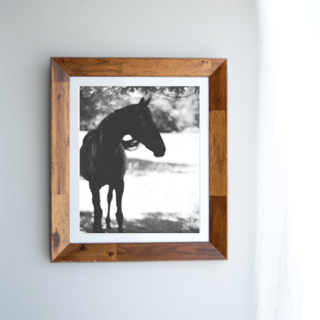 Wood Frame White Curtain Mockup Black and White Horse