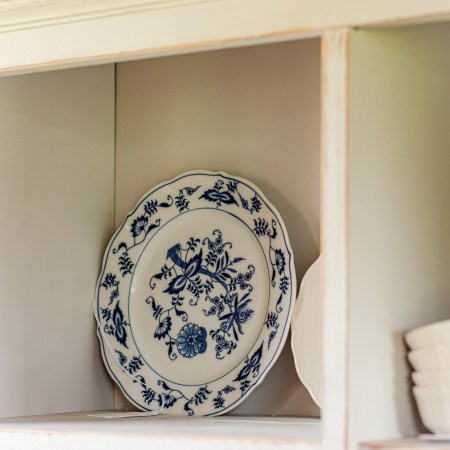 Plate: Blue & White Danube