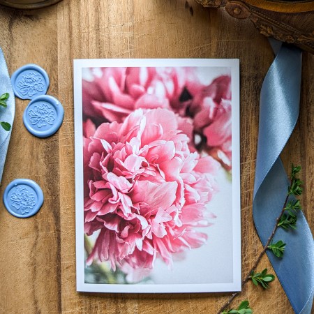 Card - Pink Peony Close Up