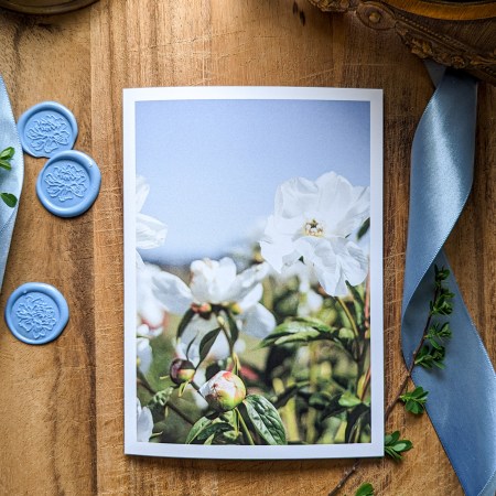 Card - Wild White Innocence