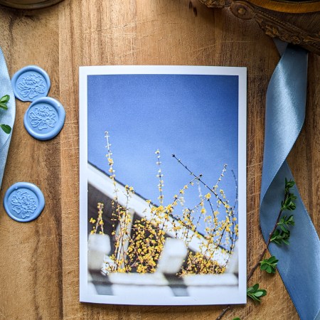 Card - Forsythia and Blue Sky