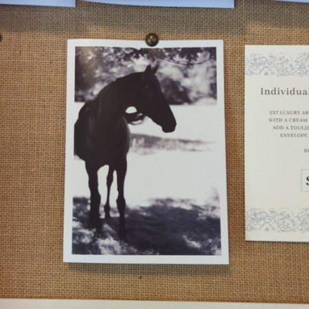 Card - Black and White Horse